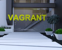 Vagrant