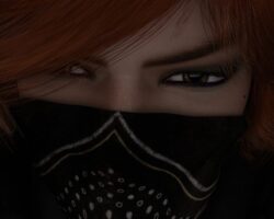 Robbin' Hoods