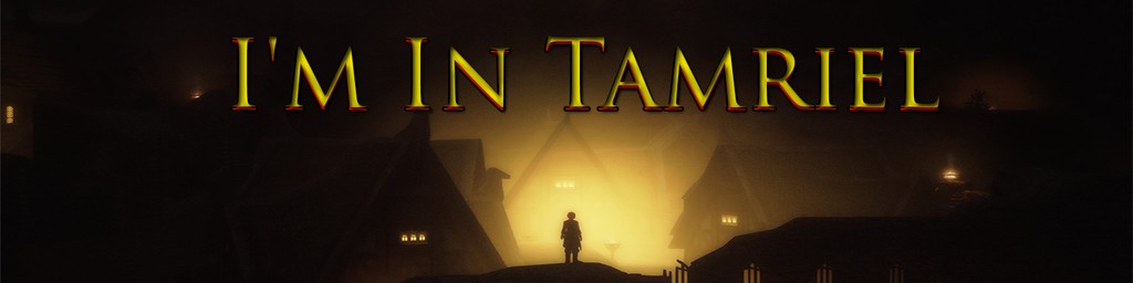 I'm In Tamriel Banner