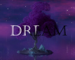 Dream