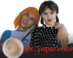 Mr. Supervisor
