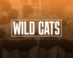 Wild Cats