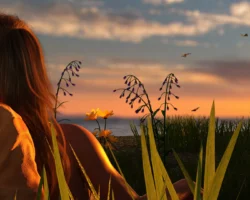 Last Sunset